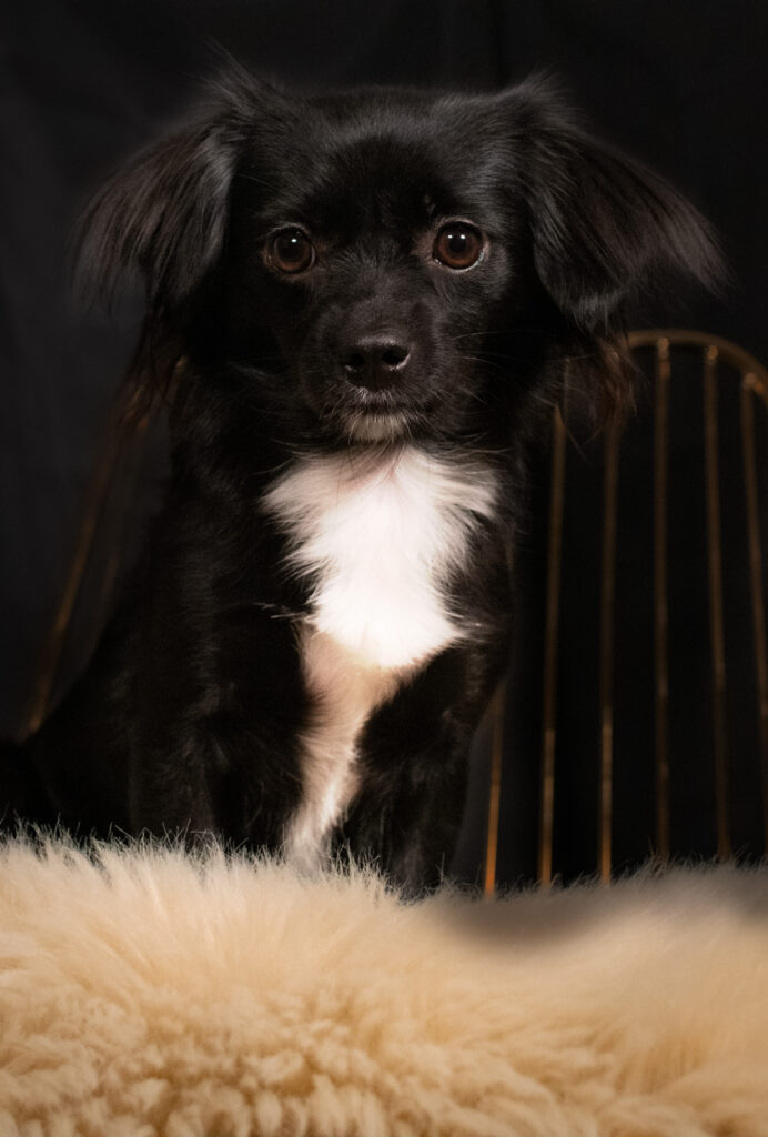 dsc 7078